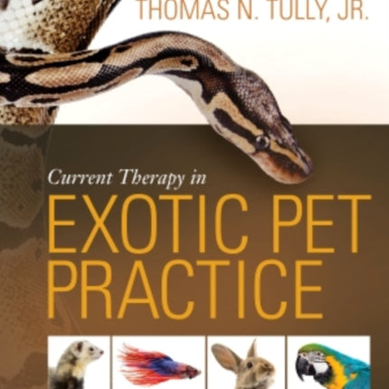 Current Therapy in Exotic Pet Practice