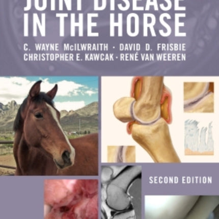 Joint Disease in the Horse