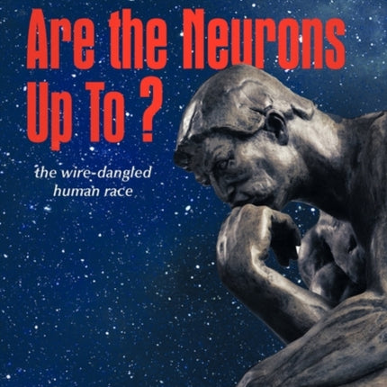 What the Hell are the Neurons Up To