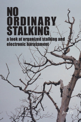 No Ordinary Stalking a look at organized stalking and electronic harassment