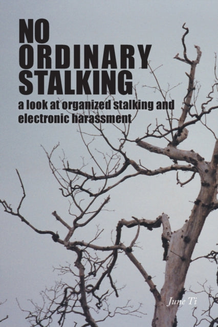 No Ordinary Stalking a look at organized stalking and electronic harassment