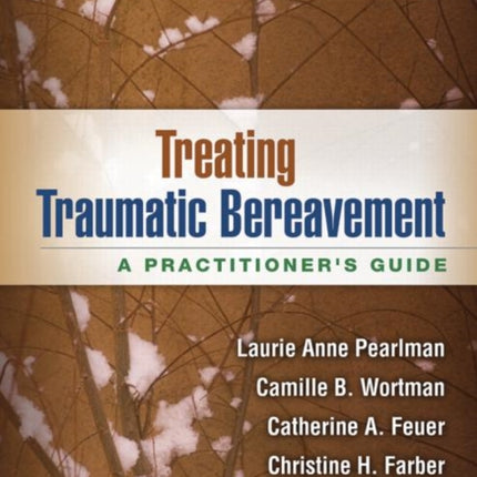 Treating Traumatic Bereavement: A Practitioner's Guide