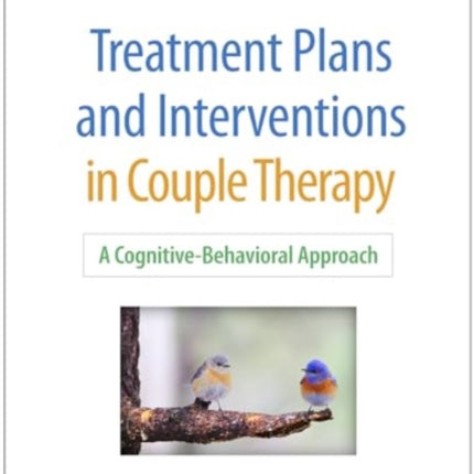 Treatment Plans and Interventions in Couple Therapy