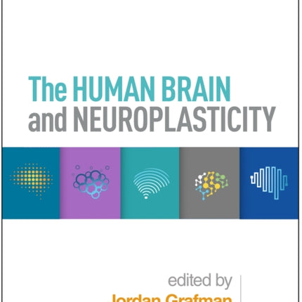 The Human Brain and Neuroplasticity