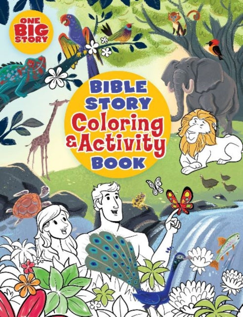 Bible story coloring and activity book