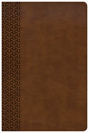 KJV Everyday Study Bible British Tan LeatherTouch