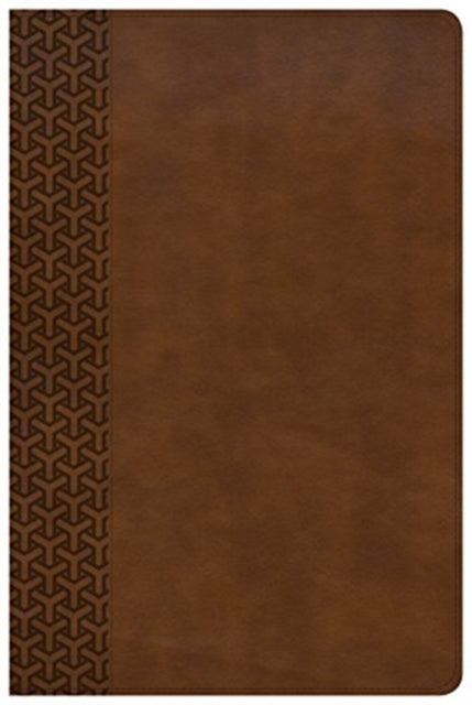 KJV Everyday Study Bible British Tan LeatherTouch