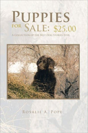 Puppies for Sale 2500 a Collection of the Best Dog Stories Ever