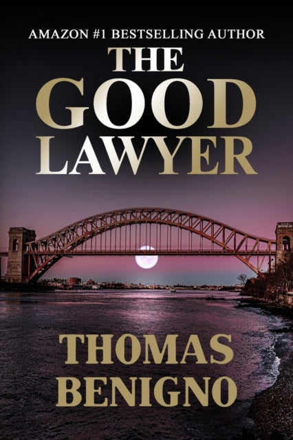 The Good Lawyer A Novel 1 The Good Lawyer Series