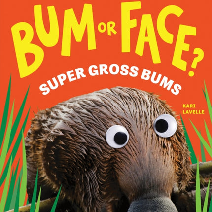 Bum or Face Volume 3