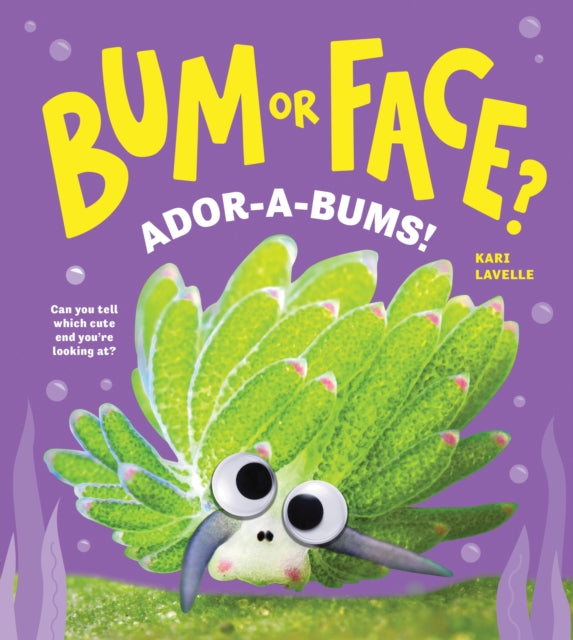 Bum or Face Volume 4