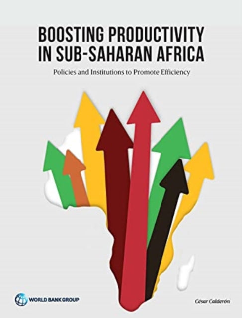 Boosting Productivity in SubSaharan Africa