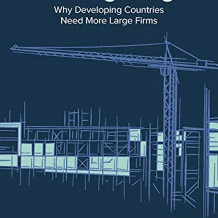 Making it Big  Why Developing Countries Need More