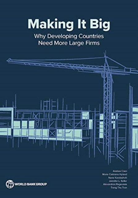 Making it Big  Why Developing Countries Need More