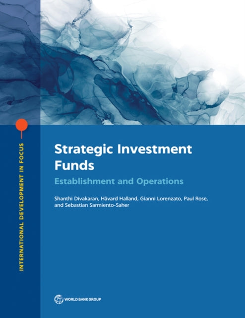 Strategic Investment Funds  Establishment and