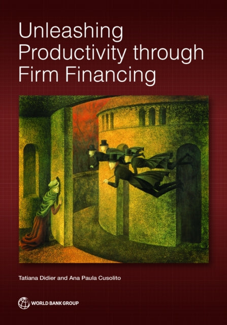 Unleashing Productivity through Firm Financing