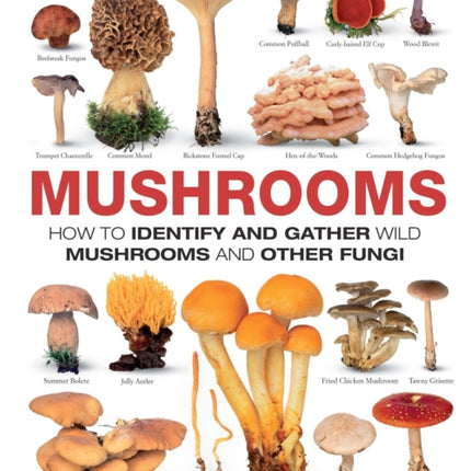 Mushrooms: How to Identify and Gather Wild Mushrooms and Other Fungi