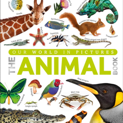 The Animal Book: A Visual Encyclopedia of Life on Earth