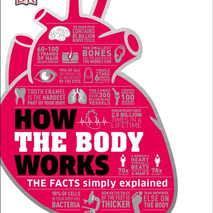 How the Body Works: The Facts Simply Explained