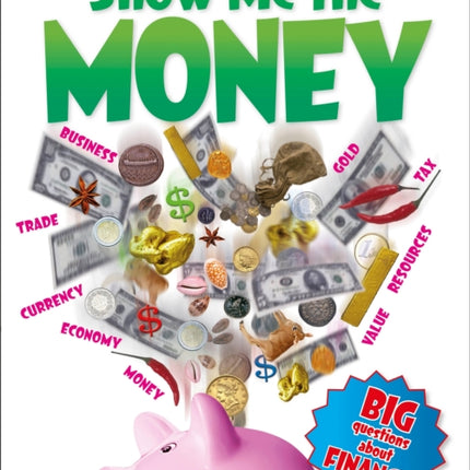 Show Me the Money Big Questions About Finance