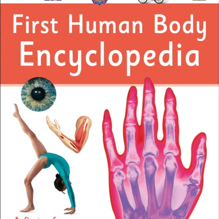 First Human Body Encyclopedia