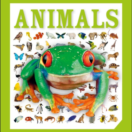 Pocket Genius: Animals: Facts at Your Fingertips