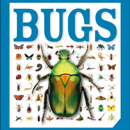 Pocket Genius: Bugs: Facts at Your Fingertips