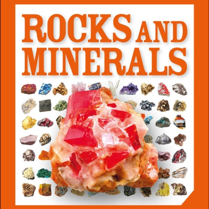 Pocket Genius Rocks and Minerals