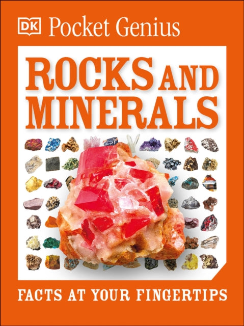 Pocket Genius Rocks and Minerals