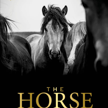 The Horse Encyclopedia