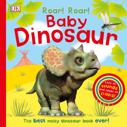 Roar! Roar! Baby Dinosaur: The Best Noisy Dinosaur Book Ever!