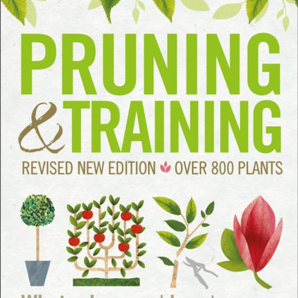 Pruning and Training, Revised New Edition: What, When, and How to Prune