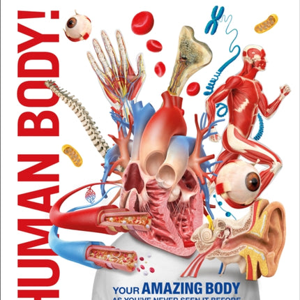 Knowledge Encyclopedia Human Body!