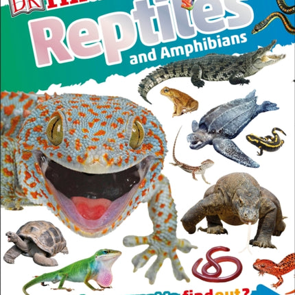DKfindout Reptiles and Amphibians