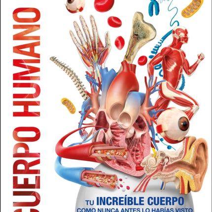 Cuerpo humano Knowledge Encyclopedia Human Body