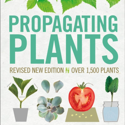 Propagating Plants: How to Create New Plants for Free