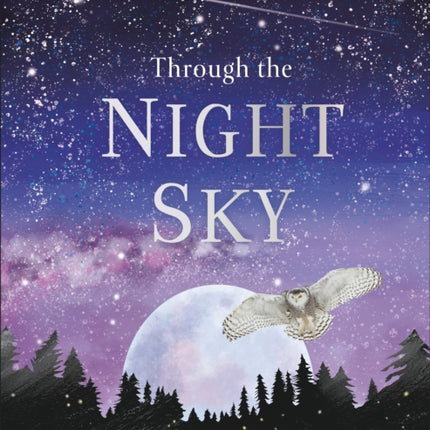 Through the Night Sky: A collection of amazing adventures under the stars