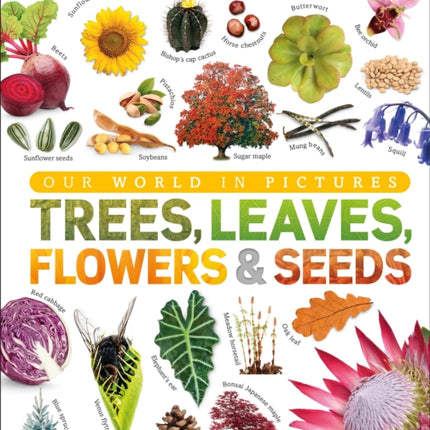 Trees, Leaves, Flowers and Seeds: A Visual Encyclopedia of the Plant Kingdom