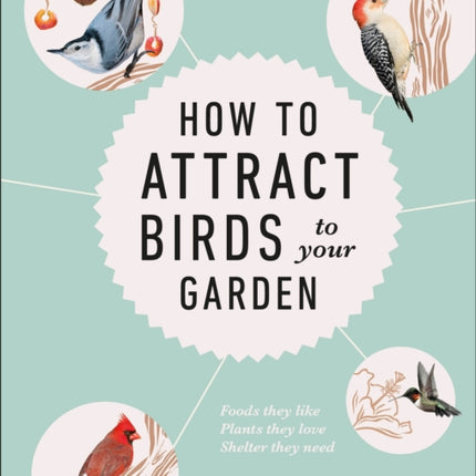 How to Attract Birds to Your Garden: Foods they like, plants they love, shelter they need