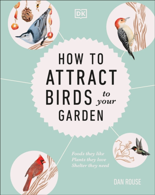 How to Attract Birds to Your Garden: Foods they like, plants they love, shelter they need