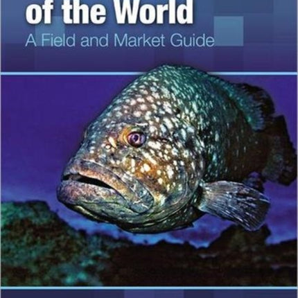 Groupers of the World: A Field and Market Guide