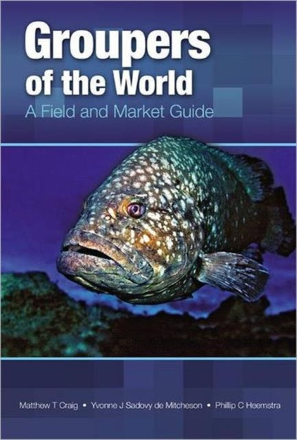 Groupers of the World: A Field and Market Guide