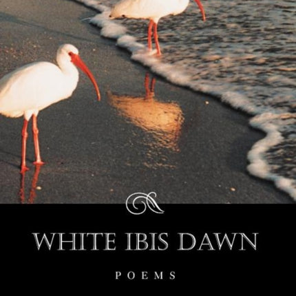 White Ibis Dawn