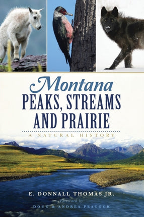 Montana Peaks Streams and Prairie A Natural