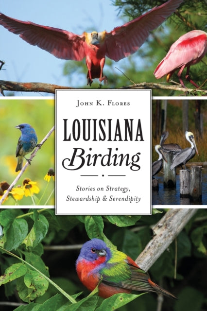 Louisiana Birding Stories on Strategy Stewardship and Serendipity Natural History