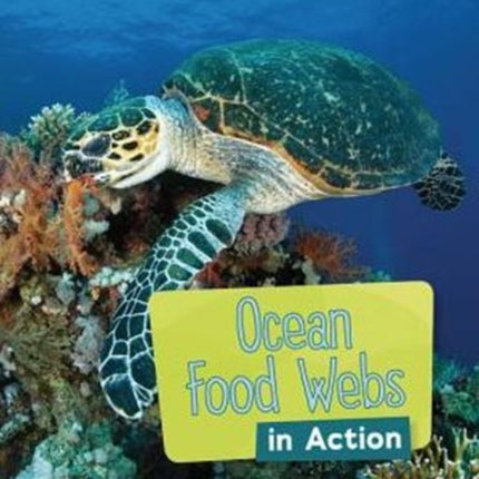 Ocean Food Webs in Action