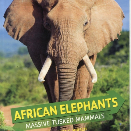 African Elephants: Massive Tusked Mammals