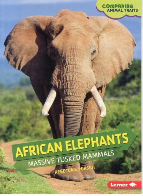 African Elephants: Massive Tusked Mammals