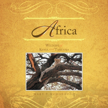Africa