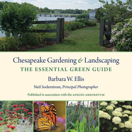 Chesapeake Gardening and Landscaping  The